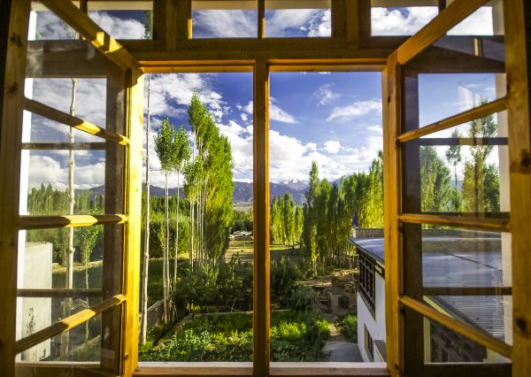 Wood Window Replacement in Cypress